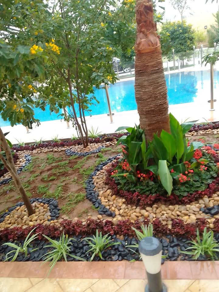 نخيل وحدائق