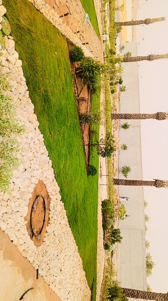 تنسيق الحدائق