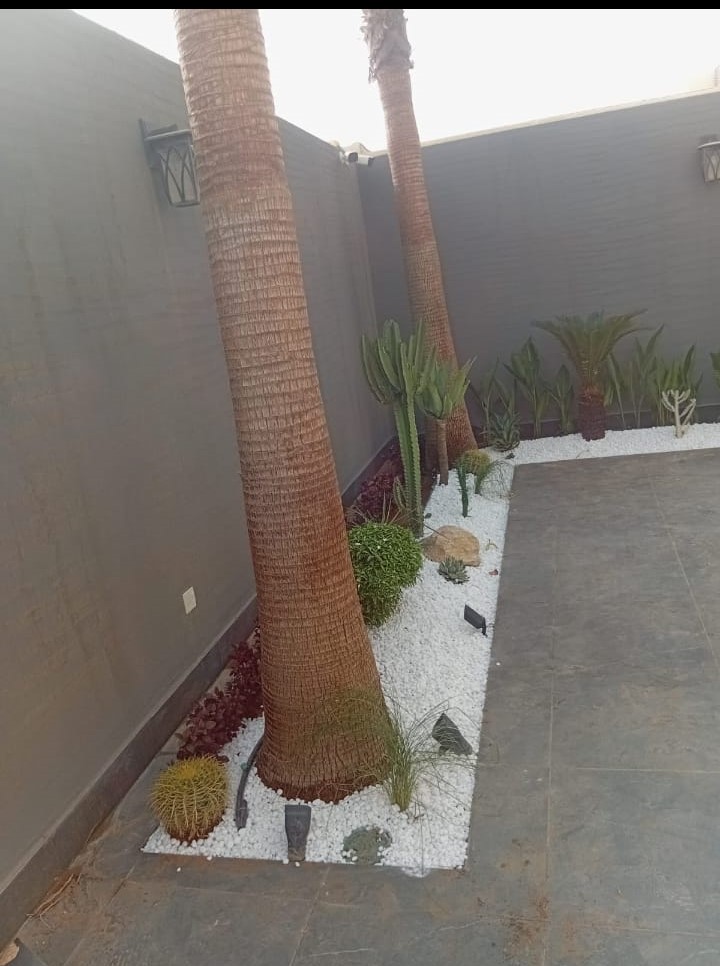 النوافير والمياه