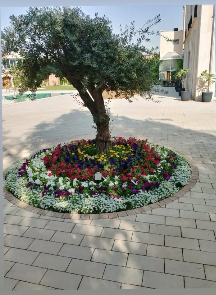 تصميم مبتكر
